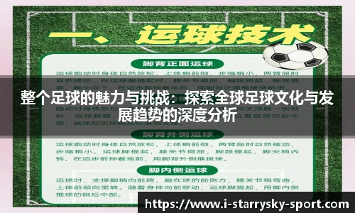 整个足球的魅力与挑战：探索全球足球文化与发展趋势的深度分析